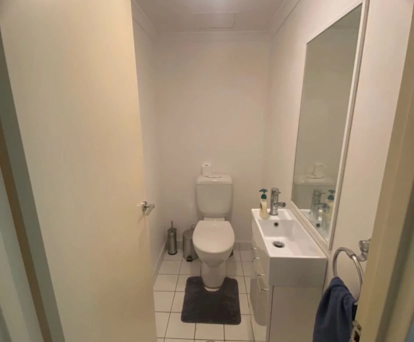 $300, Flatshare, 3 bathrooms, Pyrmont NSW 2009