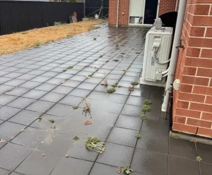 Room with ensuite in a share house