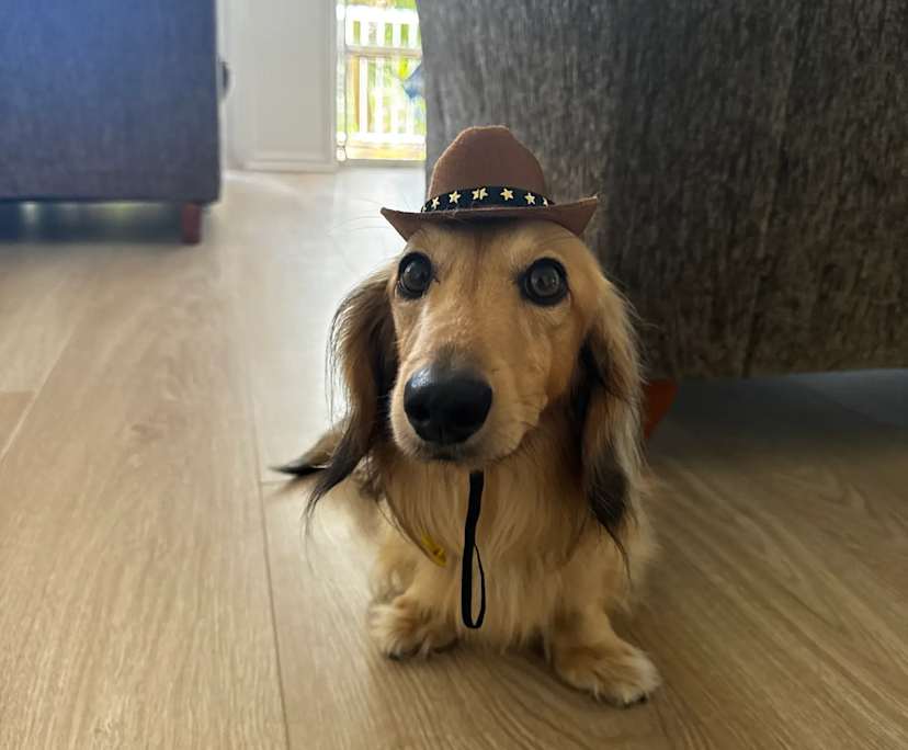 $450, Flatshare, 3 bathrooms, Main Beach QLD 4217