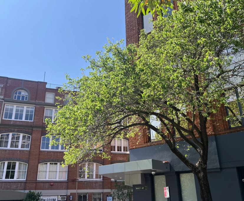 One bed flat for rent