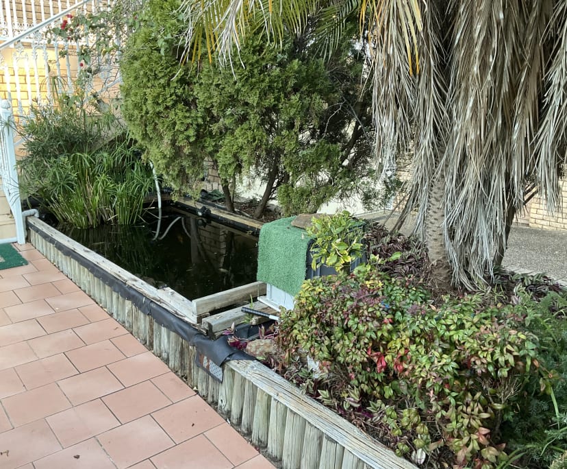 $380, Share-house, 5 bathrooms, Earlwood NSW 2206