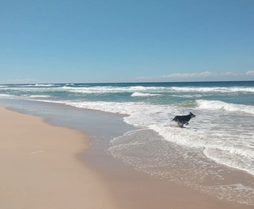 $360, Share-house, 3 bathrooms, Warana QLD 4575