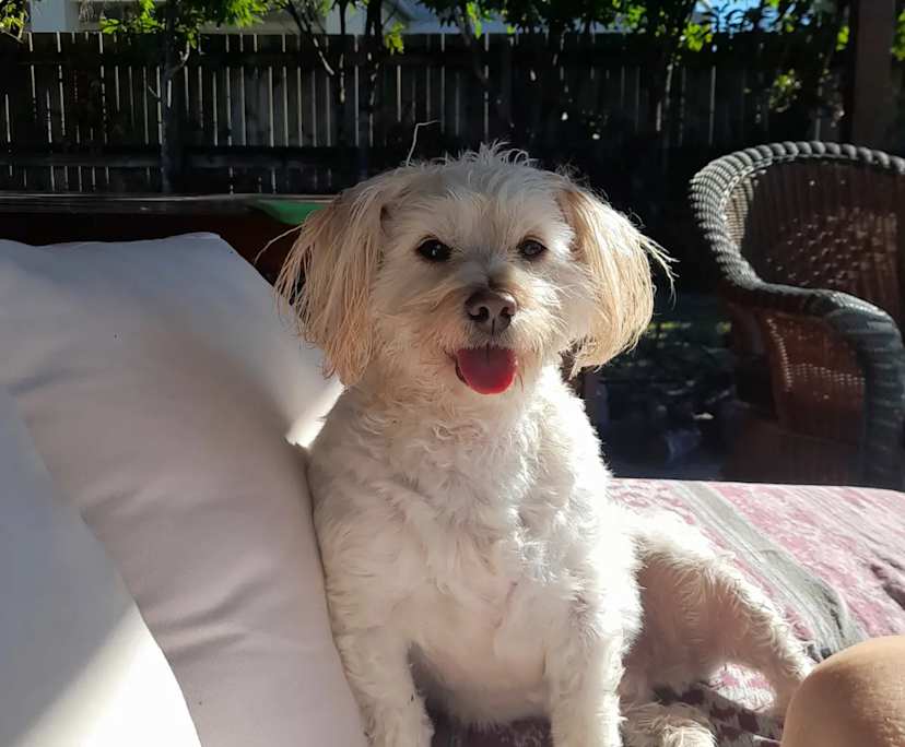 $320, Share-house, 5 bathrooms, Sippy Downs QLD 4556