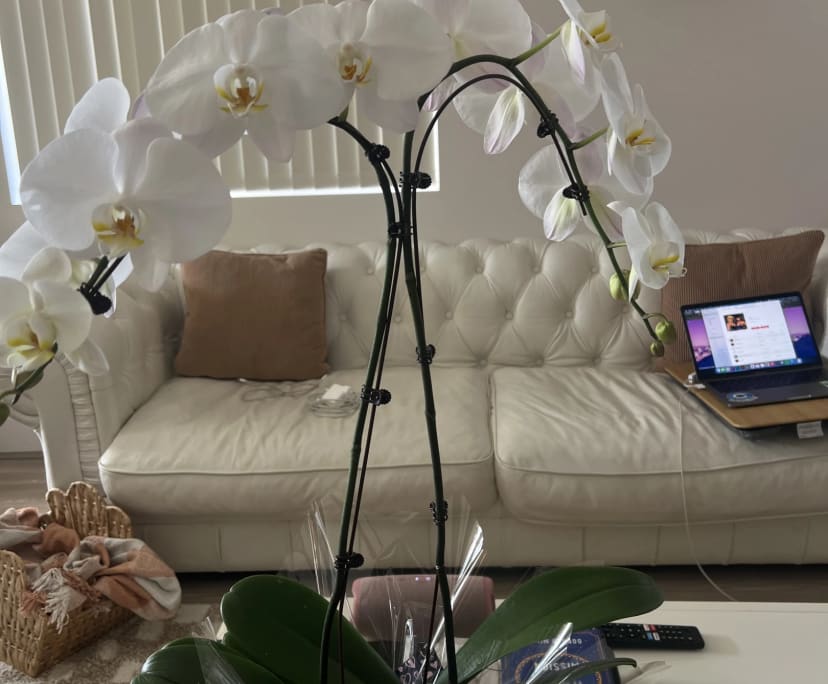 $290-300, Share-house, 2 rooms, Dayton WA 6055, Dayton WA 6055