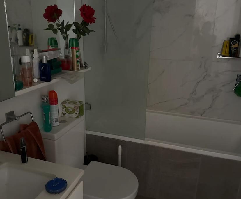 $480, Flatshare, 2 bathrooms, Botany NSW 2019