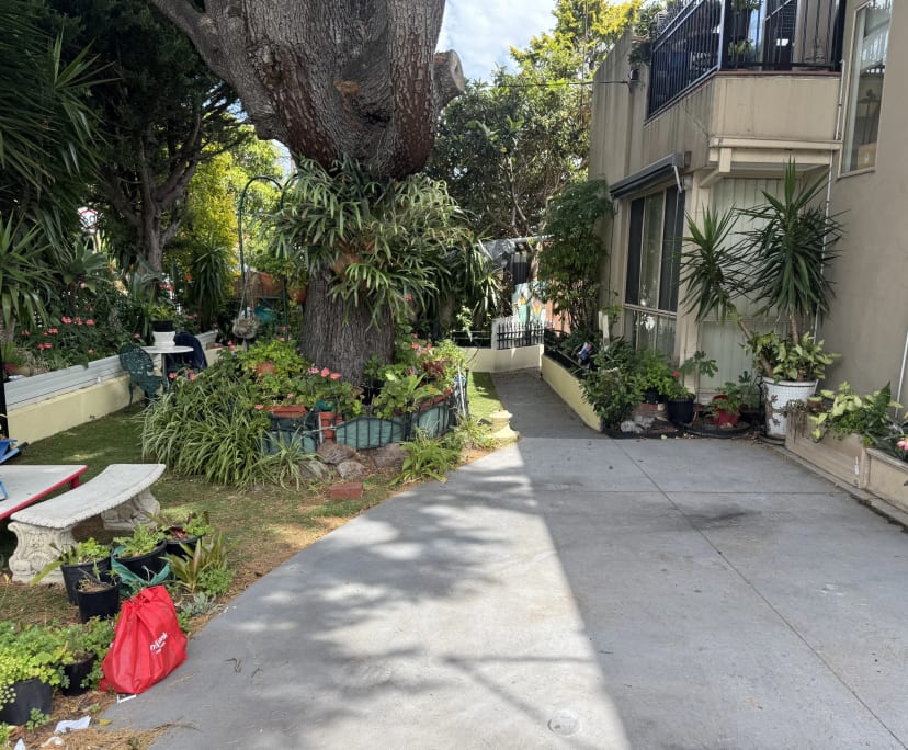 $220, Student-accommodation, 4 bathrooms, Cheltenham VIC 3192