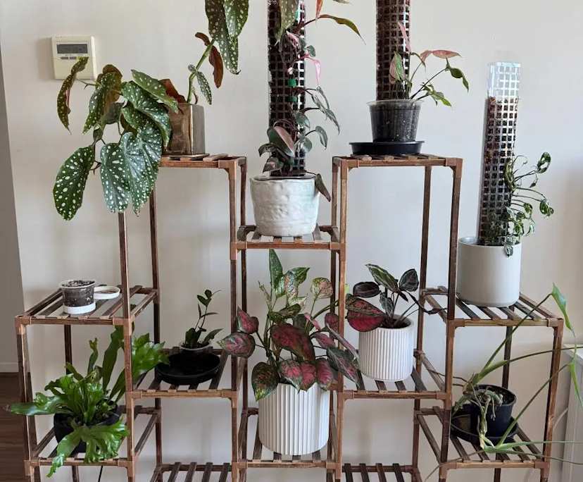 $600, 1-bed, 1 bathroom, Hurstville NSW 2220