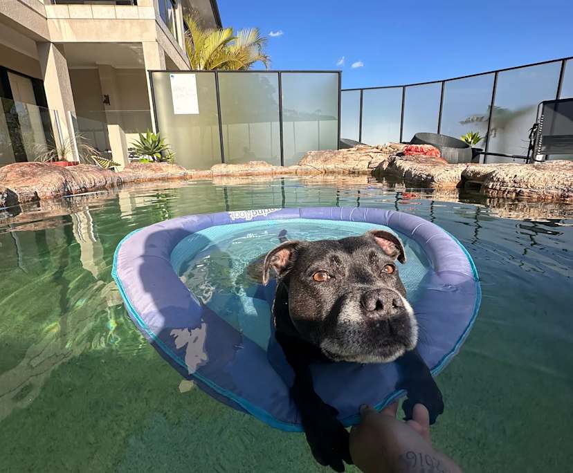 $500, Share-house, 5 bathrooms, Cromer NSW 2099