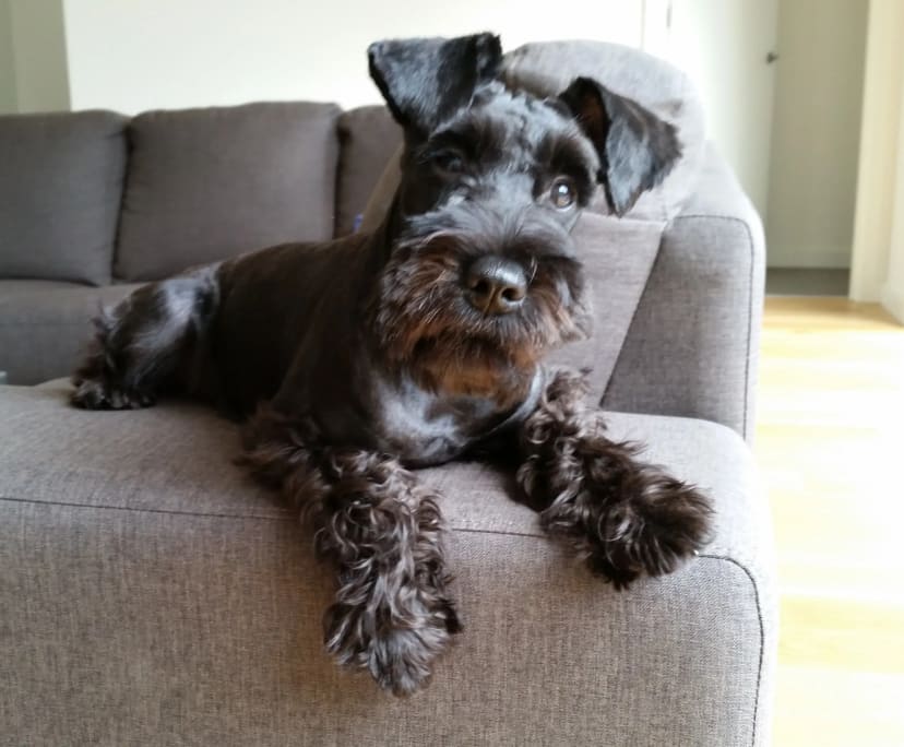 $280, Student-accommodation, 3 bathrooms, Cheltenham VIC 3192