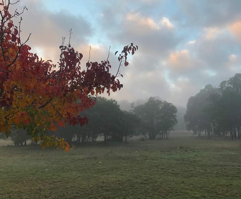 $350, Share-house, 3 bathrooms, Lake Bathurst NSW 2580