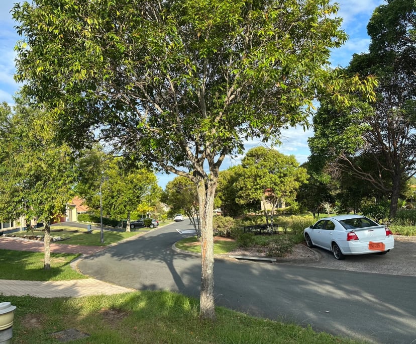 $250, Share-house, 3 bathrooms, North Lakes QLD 4509