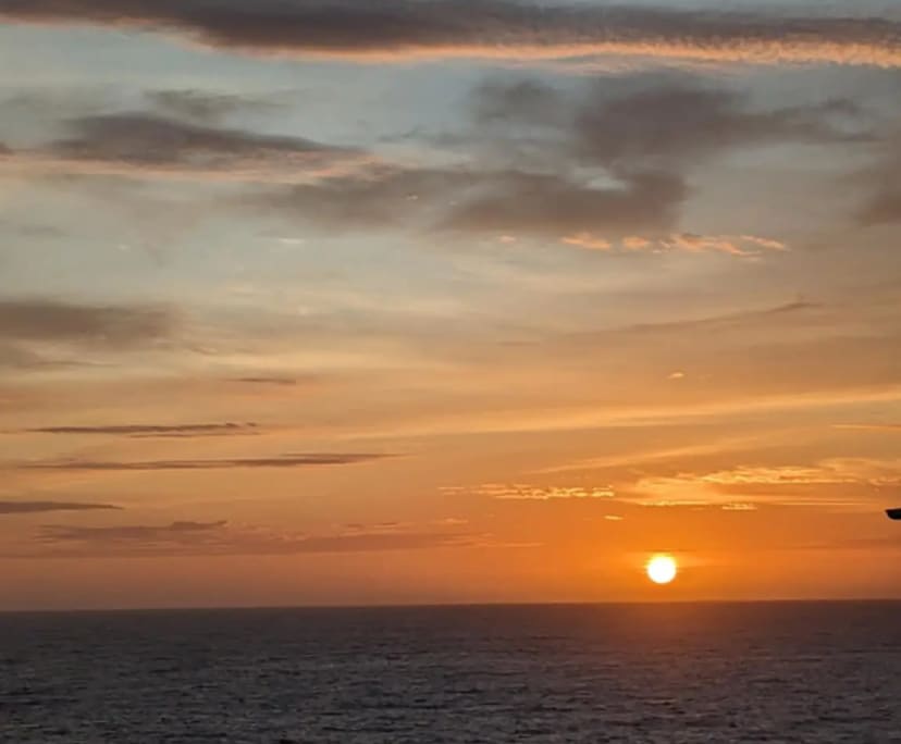 $500, Flatshare, 2 bathrooms, Dover Heights NSW 2030