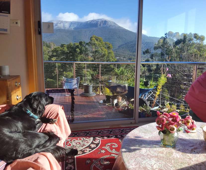 Room in a share house