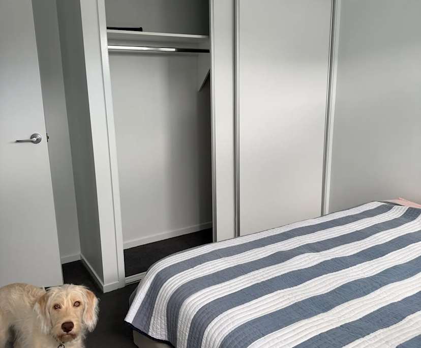 Room in a share house