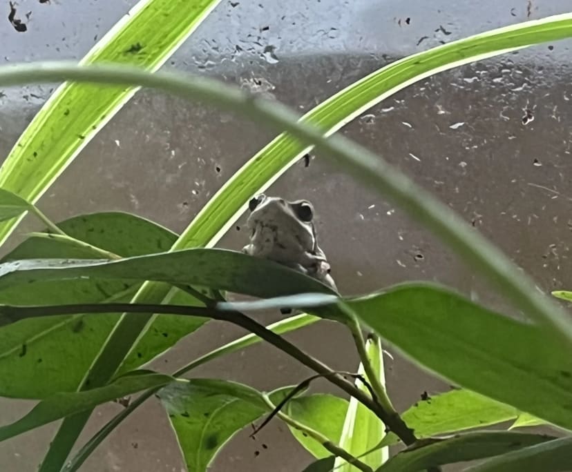 $300, Share-house, 3 bathrooms, Mount Waverley VIC 3149