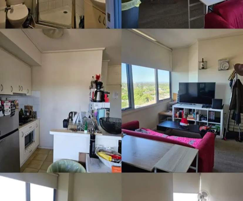 Whole property with 2 rooms for rent