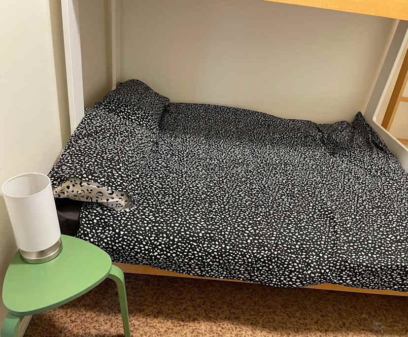 $250, Student-accommodation, 2 rooms, North Ryde NSW 2113, North Ryde NSW 2113