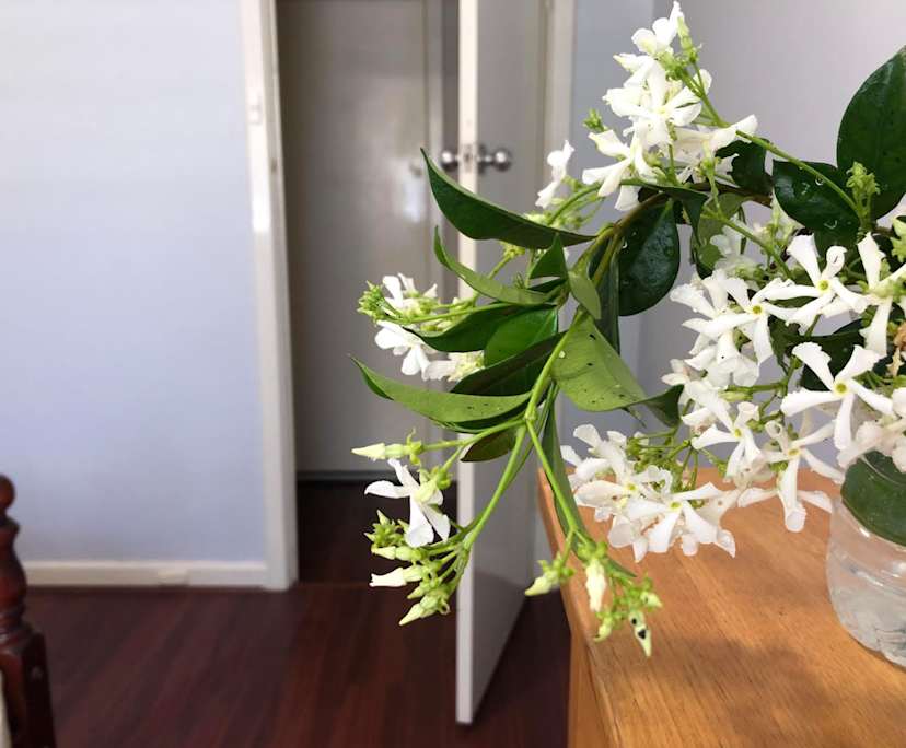 $300, Share-house, 4 bathrooms, Morley WA 6062