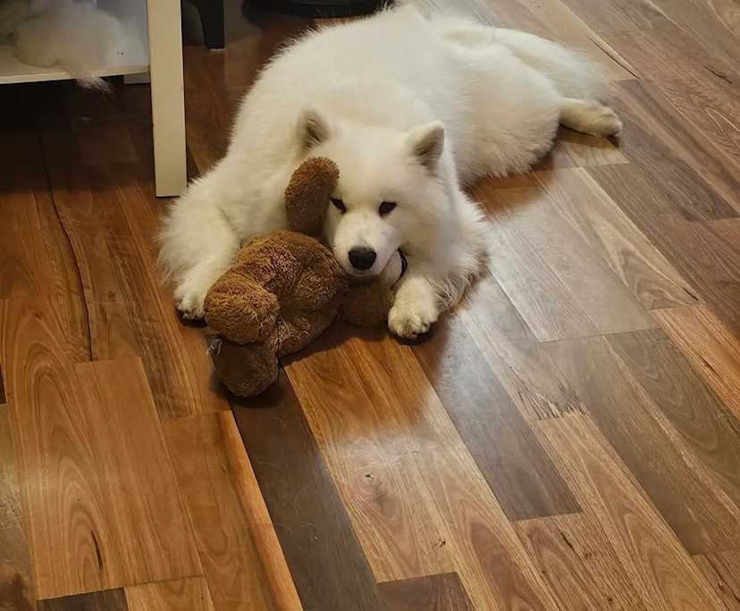 $460, Flatshare, 2 bathrooms, Queens Park NSW 2022