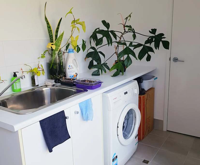 $260, Share-house, 3 bathrooms, Spearwood WA 6163