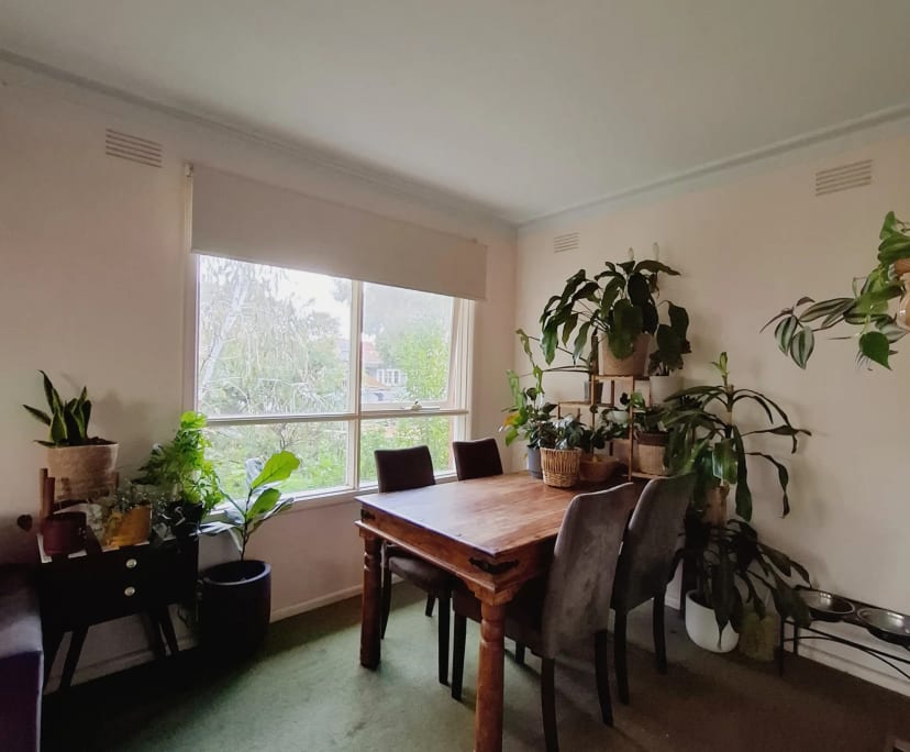 Unfurnished room in a share house