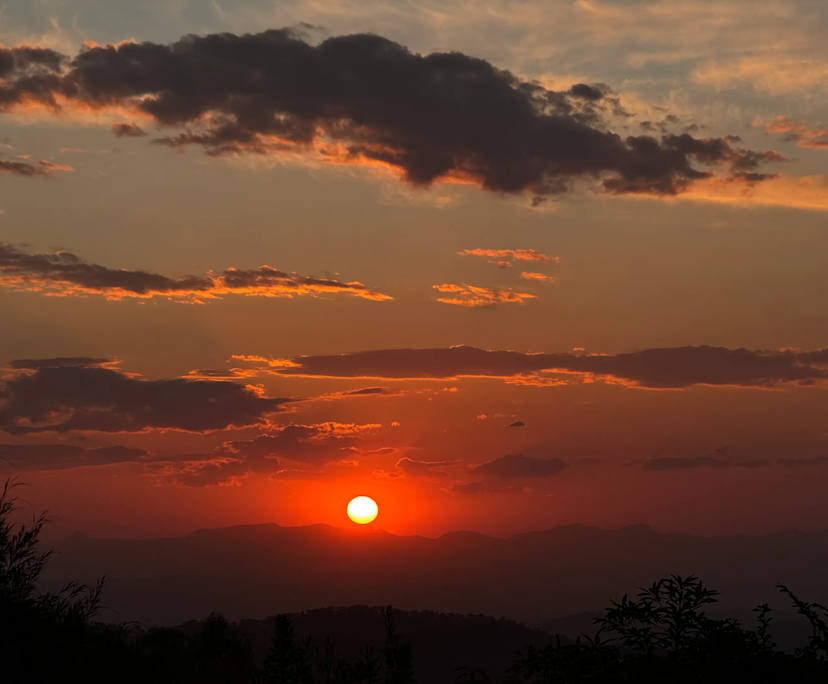 $360, Share-house, 3 bathrooms, Tamborine Mountain QLD 4272