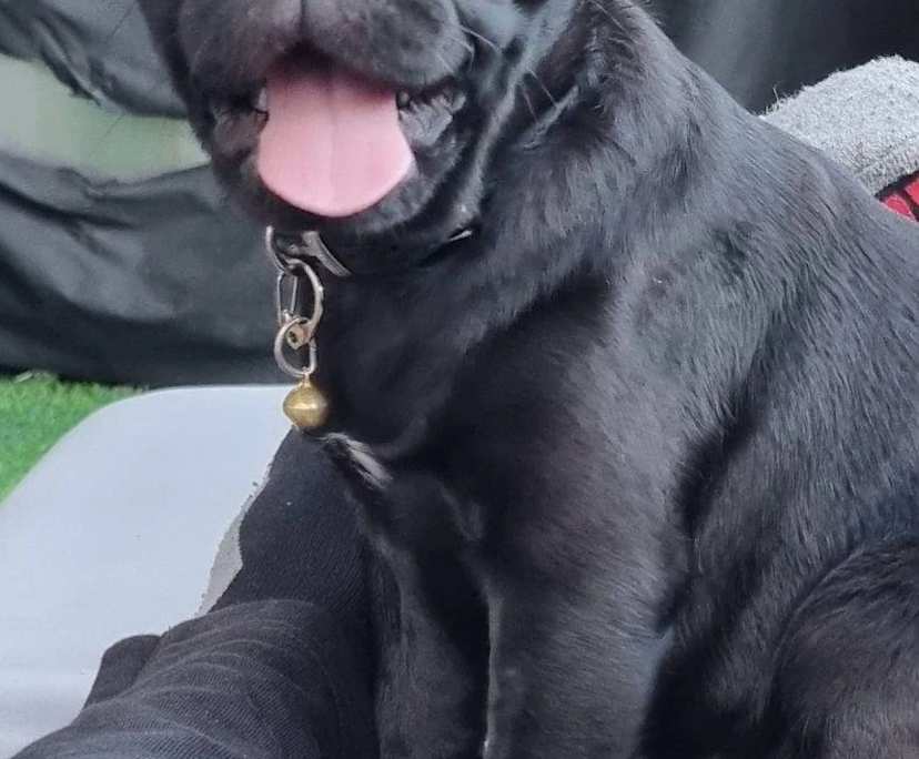 $500, Flatshare, 2 bathrooms, Fortitude Valley QLD 4006