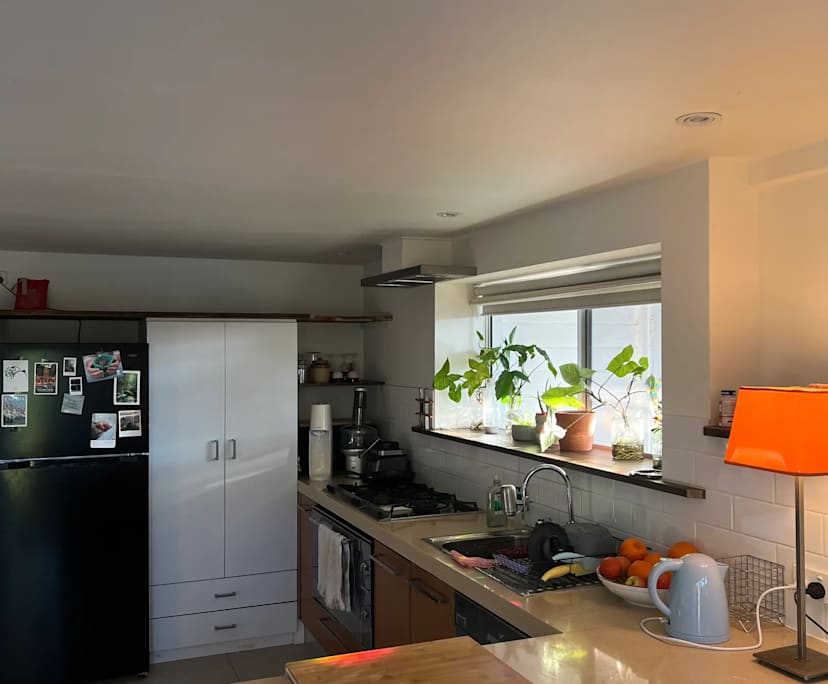 Whole property with 2 rooms for rent