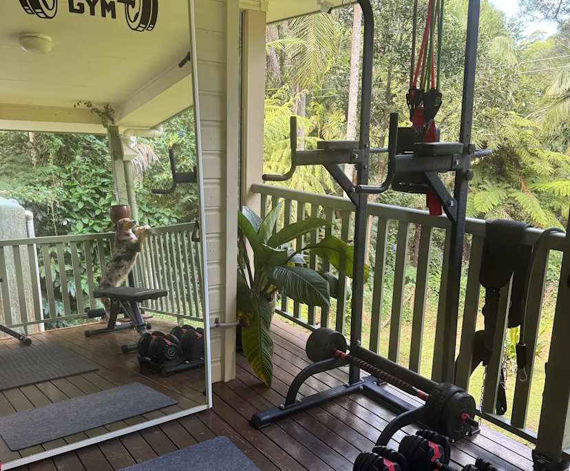 Room in a share house