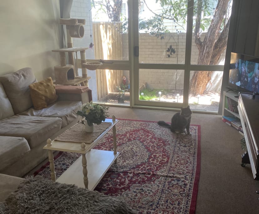 $184, Share-house, 3 bathrooms, North Melbourne VIC 3051