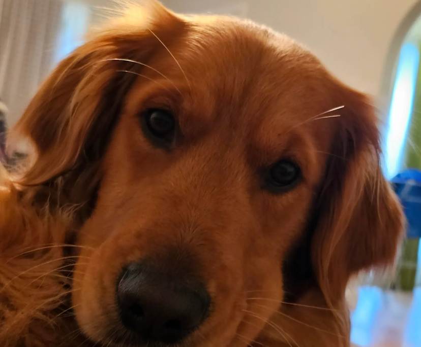 Unfurnished room with own bathroom