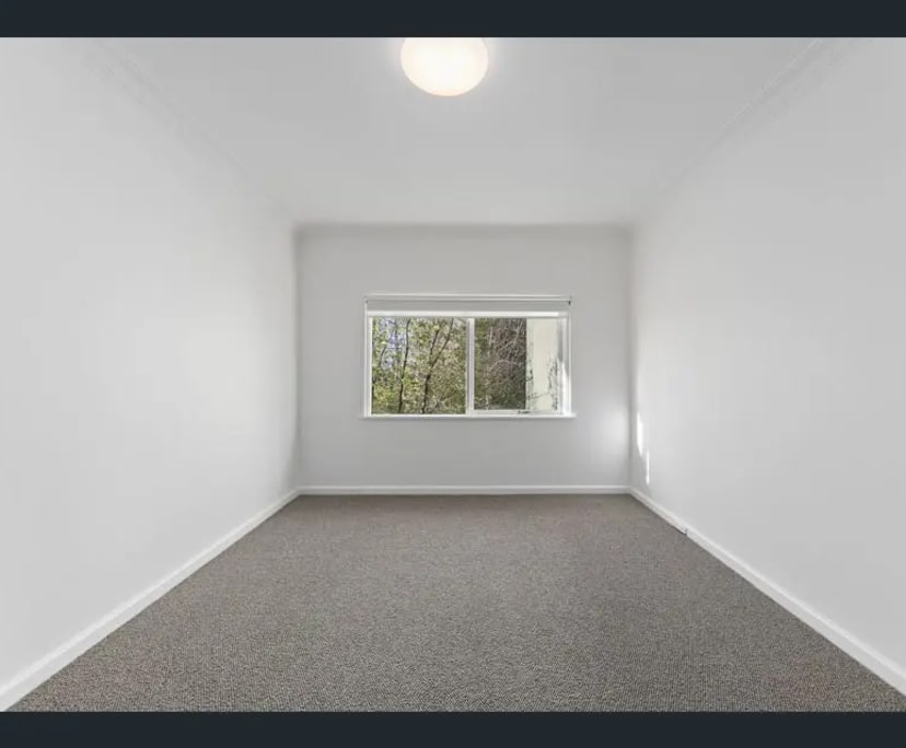 Room in a share house