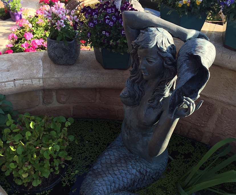 $520, Share-house, 3 bathrooms, Hamilton Hill WA 6163