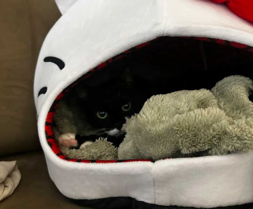 Unfurnished room with own bathroom