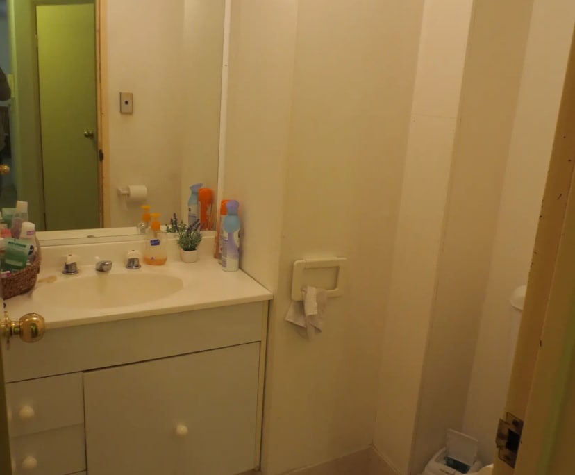 $295, Flatshare, 2 bathrooms, Redfern NSW 2016