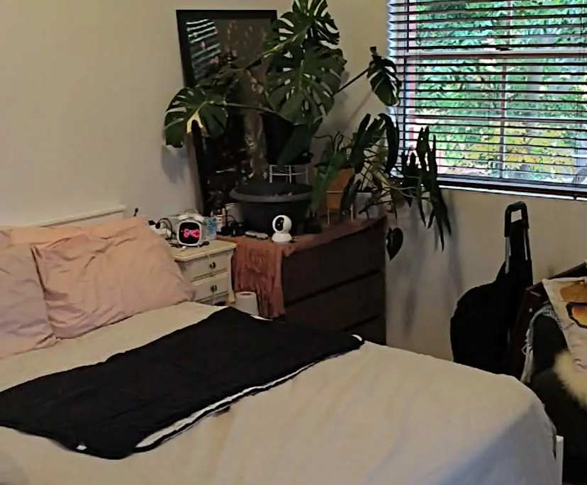 $520, Share-house, 3 bathrooms, Kingsford NSW 2032