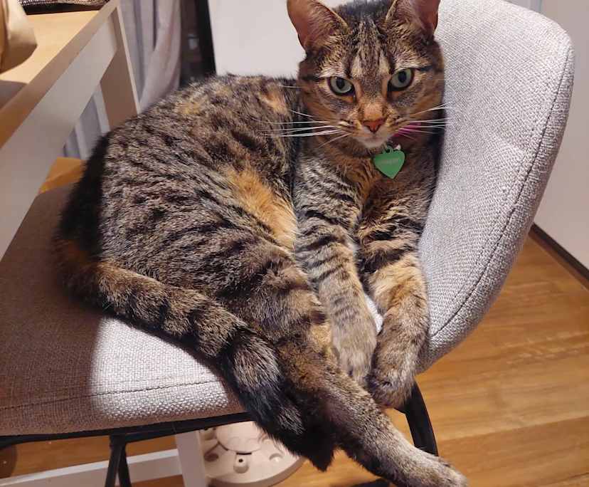 $360, Flatshare, 2 bathrooms, Perth WA 6000