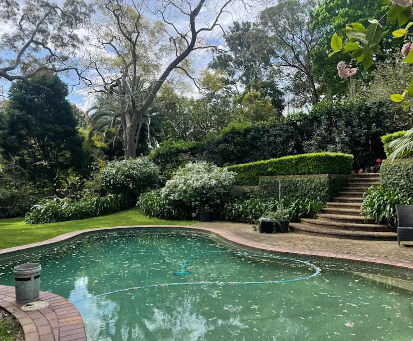 $400, Share-house, 2 bathrooms, Roseville NSW 2069