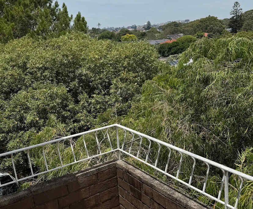 $500, Flatshare, 2 bathrooms, Kingsford NSW 2032