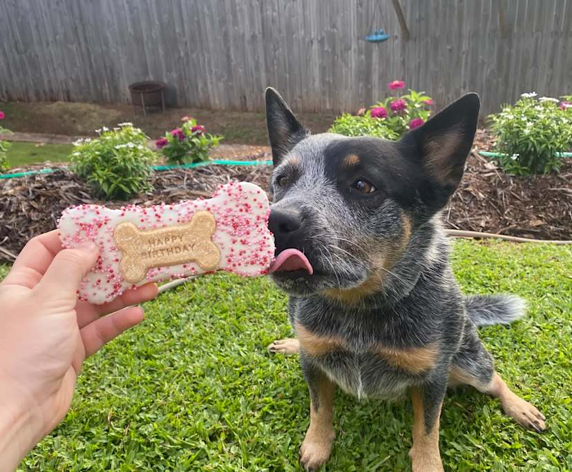 $270, Share-house, 4 bathrooms, Bayview Heights QLD 4868