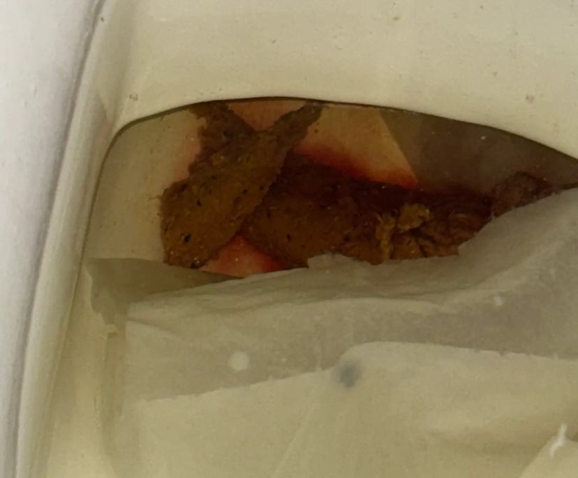 Student accommodation