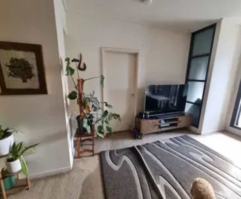 $625, Flatshare, 3 bathrooms, Ultimo NSW 2007