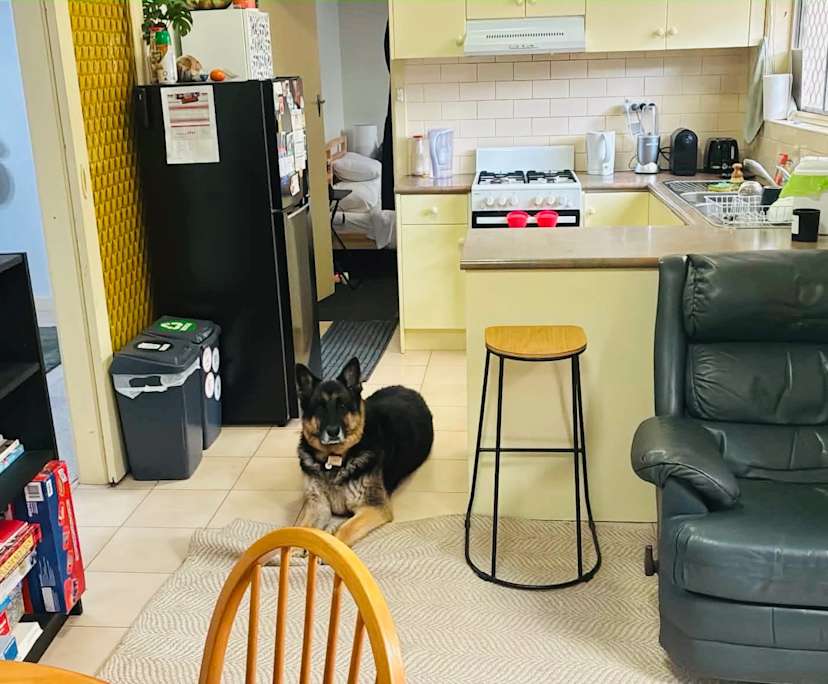 propertyImage