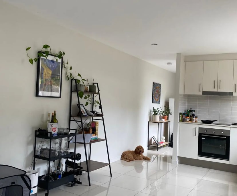 Furnished room in a share house