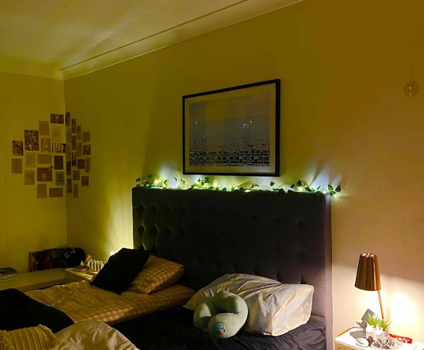 Furnished room in a flatshare