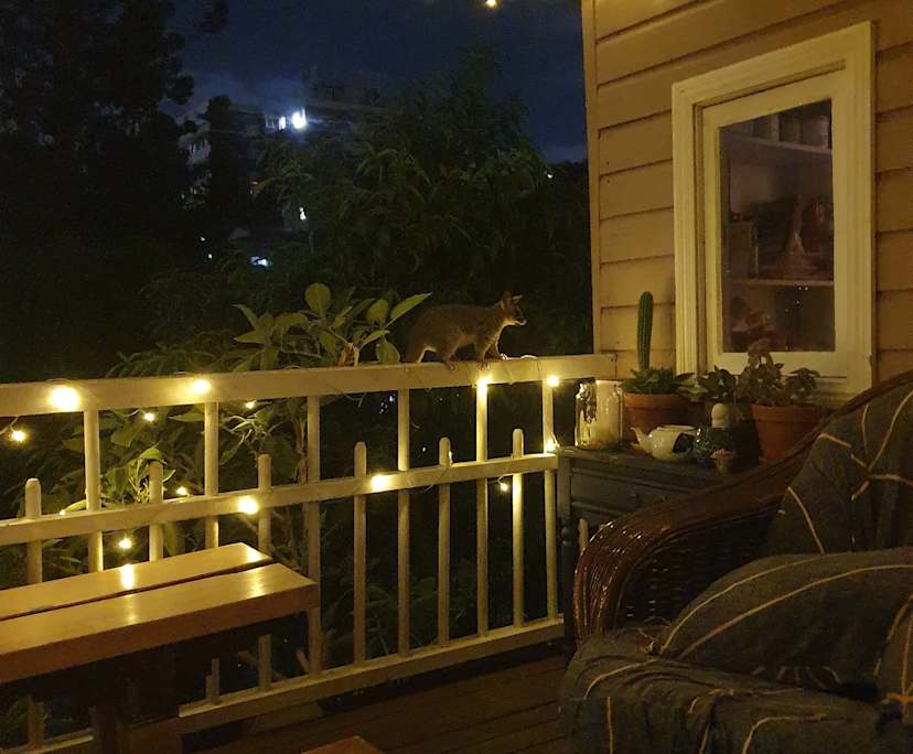 $235, Share-house, 4 bathrooms, West End QLD 4101