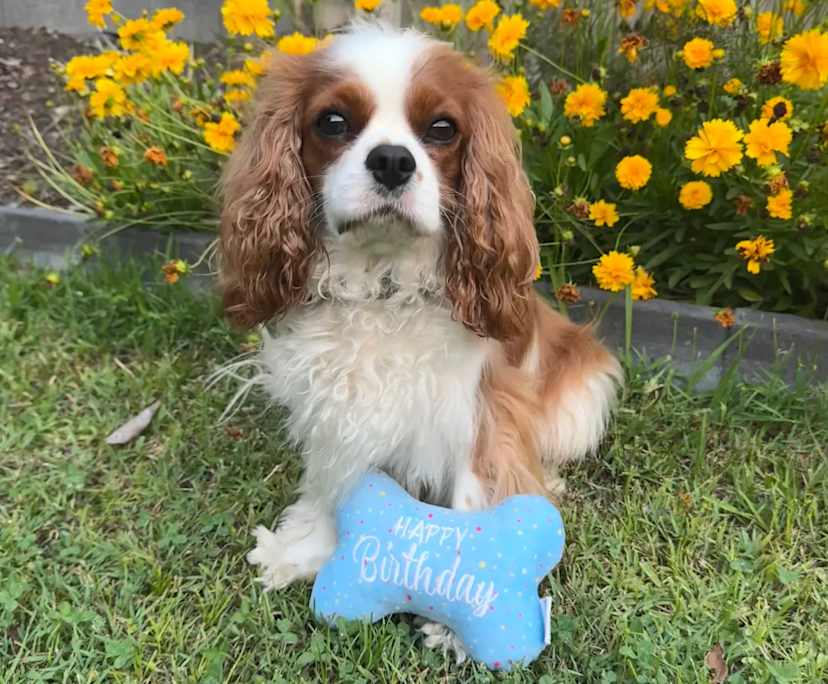 $300, Flatshare, 3 bathrooms, Boronia Heights QLD 4124