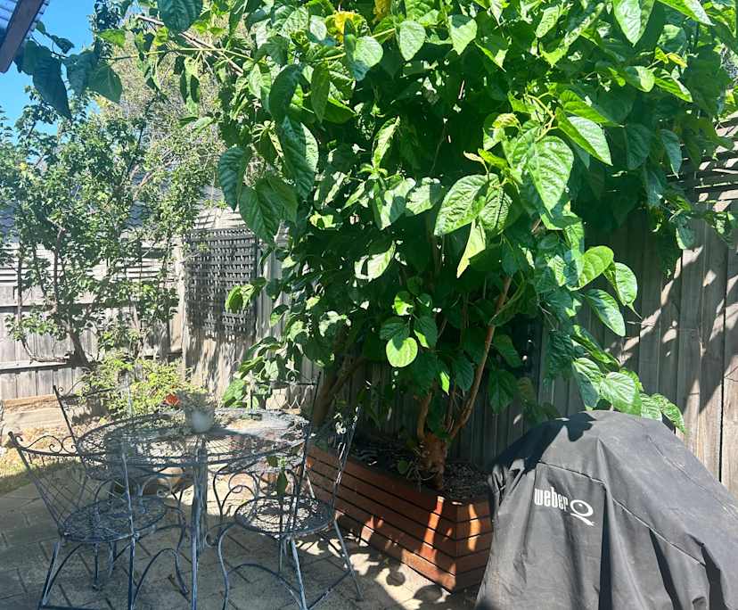 $300, Homestay, 2 bathrooms, Frankston South VIC 3199