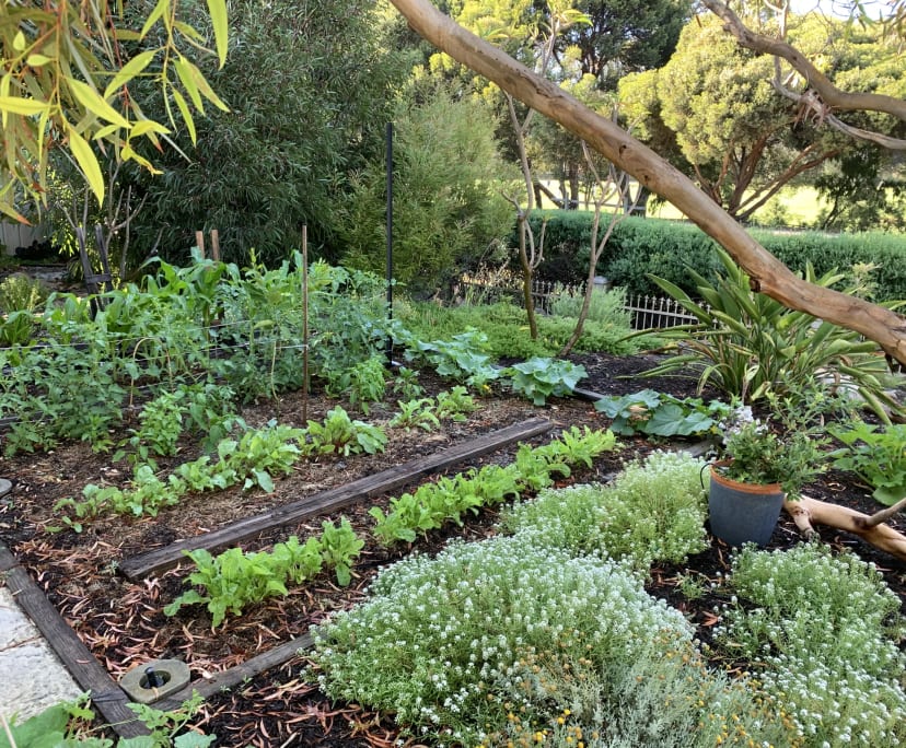 $300, Share-house, 4 bathrooms, Mullaloo WA 6027