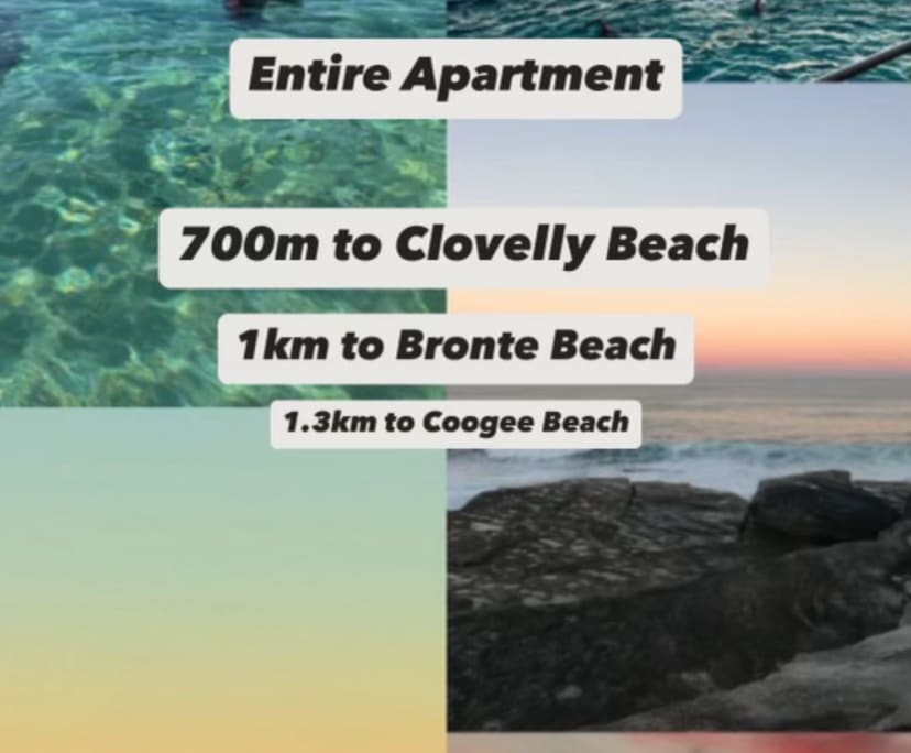 Whole property with 2 rooms for rent